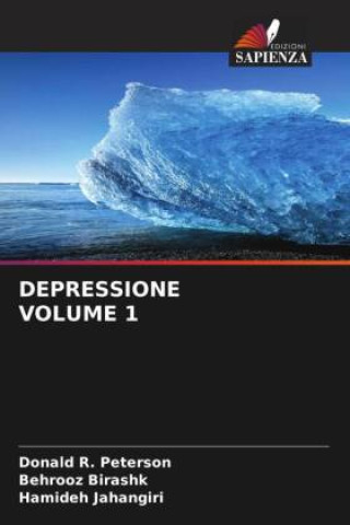 Buch DEPRESSIONE VOLUME 1 Behrooz Birashk