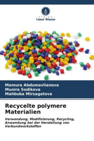 Knjiga Recycelte polymere Materialien Munira Sodikova