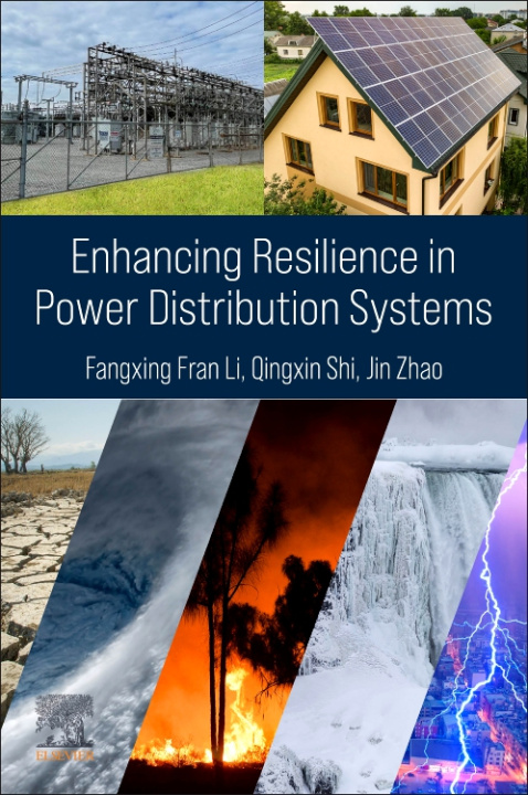 Kniha Enhancing Reliability in Distribution Networks Fangxing Fran Li