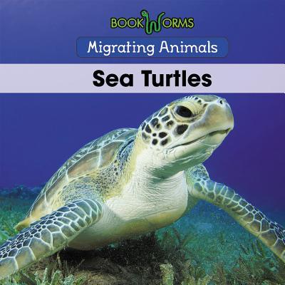 Knjiga Sea Turtles B. J. Best