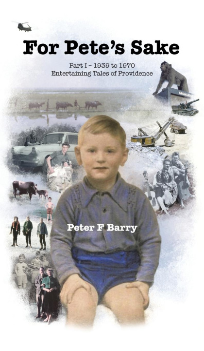 Knjiga For Pete's Sake Peter F Barry