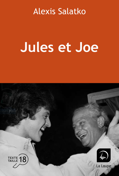 Książka Jules et Joe Alexis Salatko