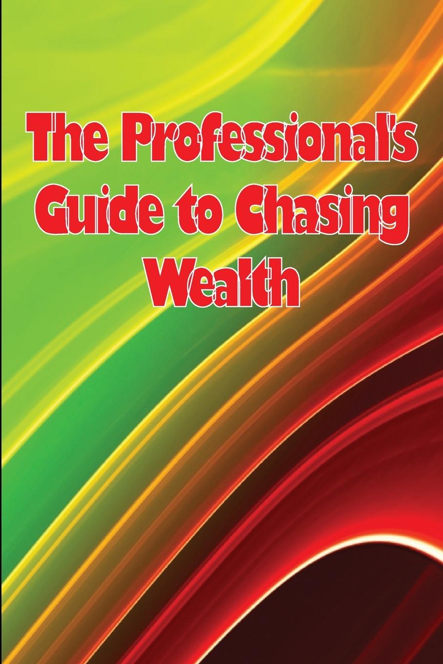 Boek The Professional's Guide to Chasing Wealth Shelly Nielsen