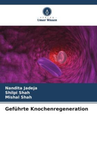 Knjiga Geführte Knochenregeneration Shilpi Shah