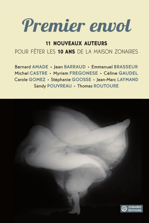 Buch Premier envol Amade
