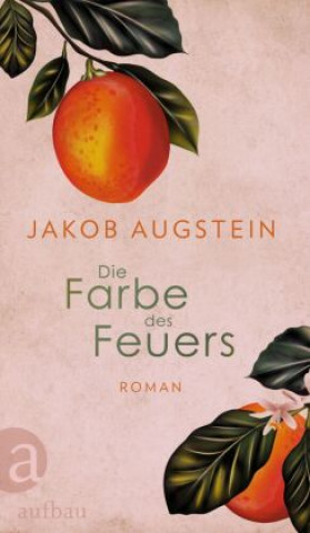 Book Die Farbe des Feuers Jakob Augstein