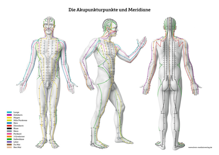 Materiale tipărite Lernposter - Die Akupunkturpunkte und Meridiane 