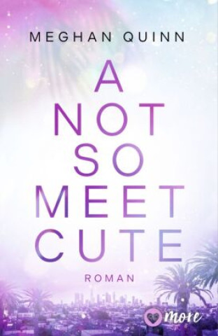 Livre A Not So Meet Cute Meghan Quinn