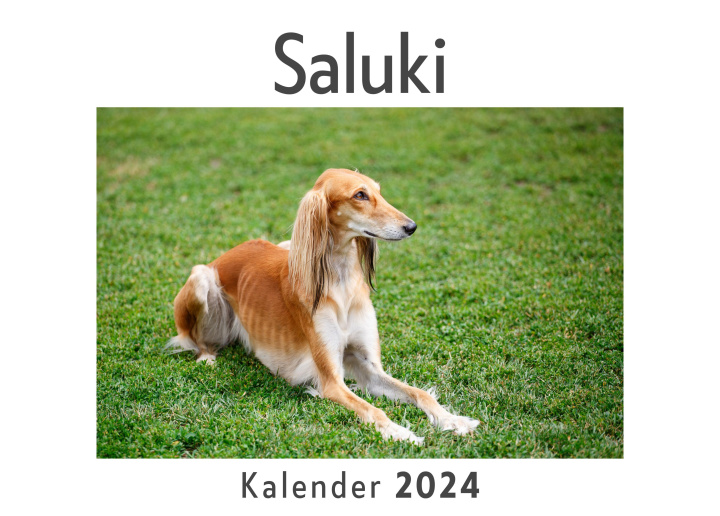 Kalendář/Diář Saluki (Wandkalender 2024, Kalender DIN A4 quer, Monatskalender im Querformat mit Kalendarium, Das perfekte Geschenk) 