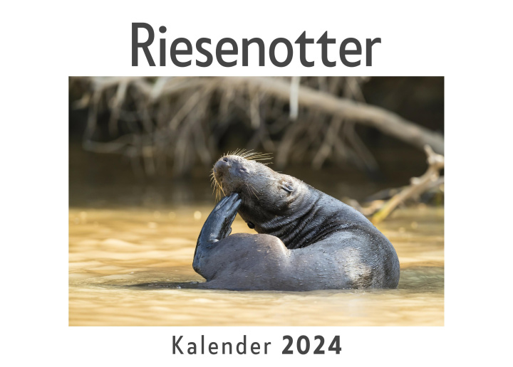 Naptár/Határidőnapló Riesenotter (Wandkalender 2024, Kalender DIN A4 quer, Monatskalender im Querformat mit Kalendarium, Das perfekte Geschenk) 