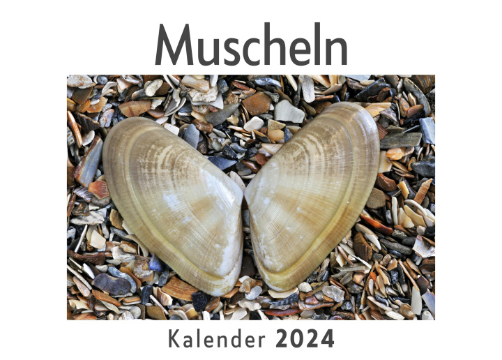 Kalendář/Diář Muscheln (Wandkalender 2024, Kalender DIN A4 quer, Monatskalender im Querformat mit Kalendarium, Das perfekte Geschenk) 