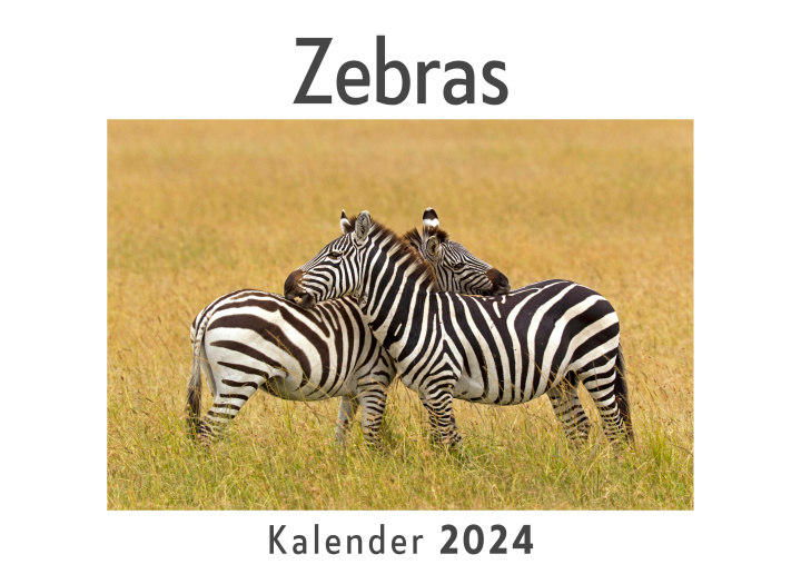 Naptár/Határidőnapló Zebras (Wandkalender 2024, Kalender DIN A4 quer, Monatskalender im Querformat mit Kalendarium, Das perfekte Geschenk) 