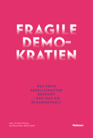 Kniha Fragile Demokratien Paul-Moritz Rabe