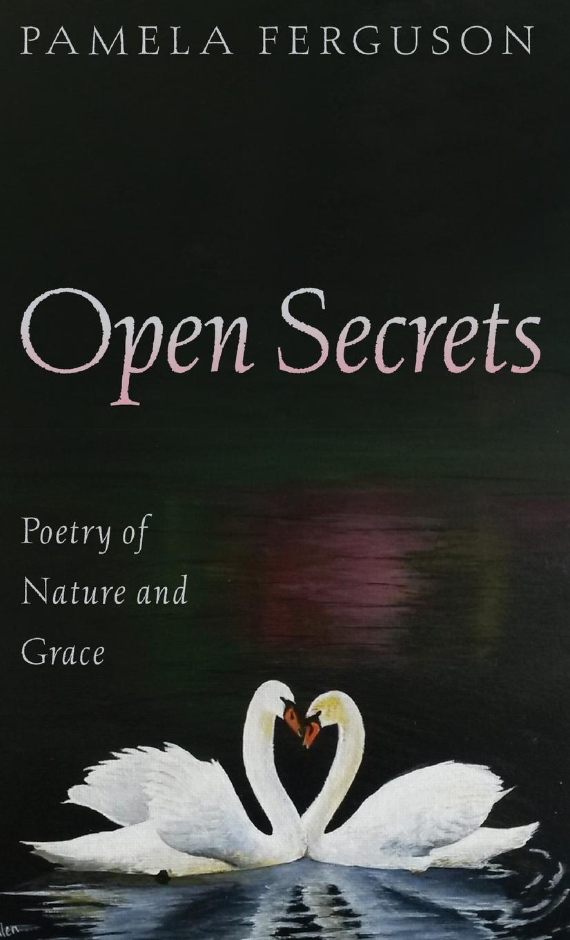 Book Open Secrets Pamela Ferguson
