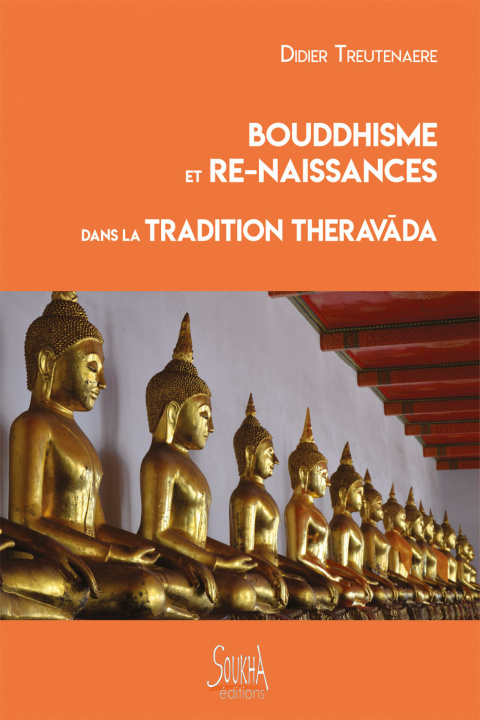 Книга Bouddhisme et re-naissances dans la tradition Theravada (nouvelle édition) Treutenaere
