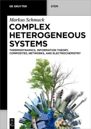 Knjiga Complex Heterogeneous Systems Markus Schmuck