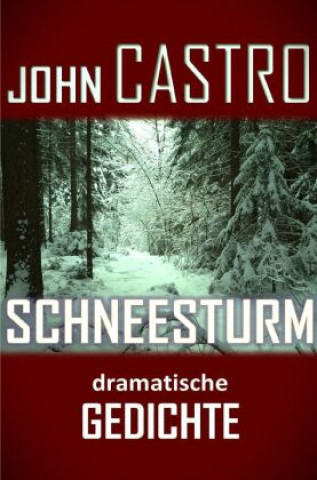 Knjiga Schneesturm John Castro