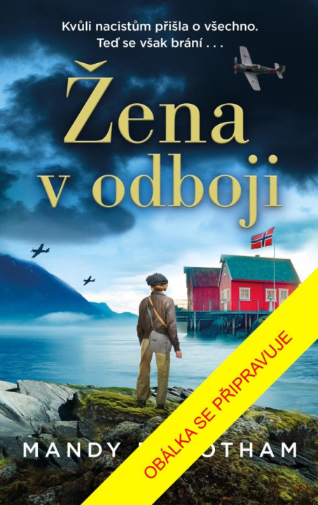 Buch Dívka v odboji Mandy Robotham