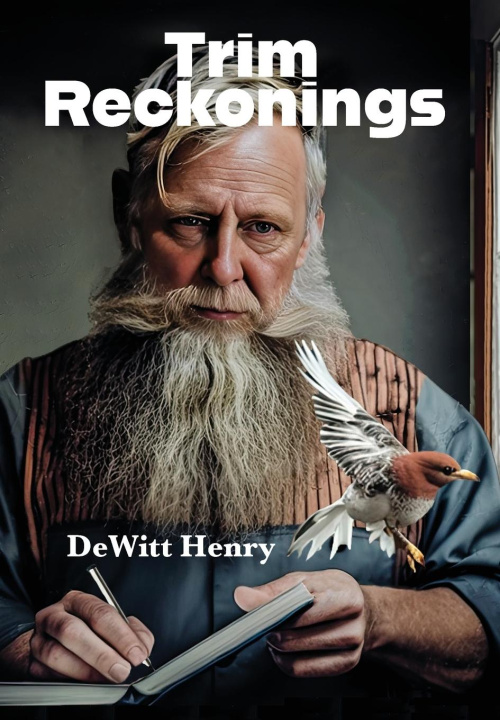 Buch Trim Reckonings Dewitt Henry