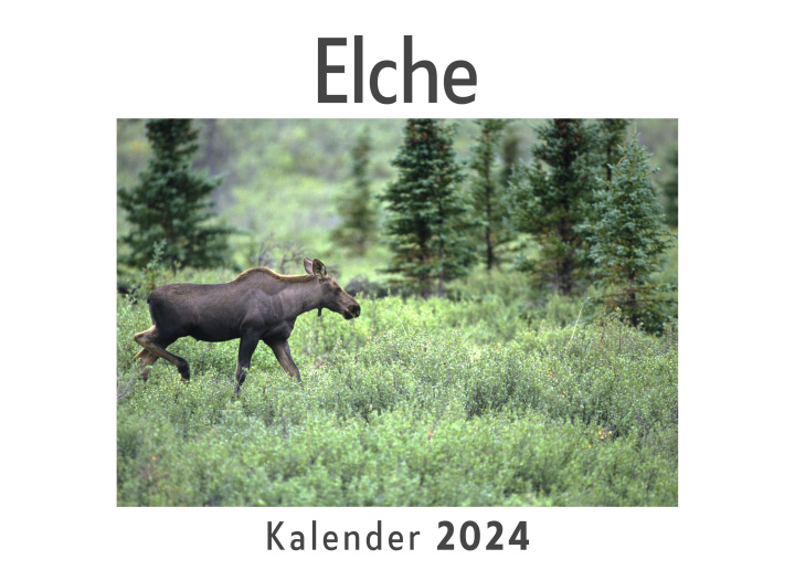 Kalender/Terminbuch Elche (Wandkalender 2024, Kalender DIN A4 quer, Monatskalender im Querformat mit Kalendarium, Das perfekte Geschenk) 