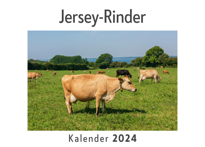 Calendar / Agendă Jersey-Rinder (Wandkalender 2024, Kalender DIN A4 quer, Monatskalender im Querformat mit Kalendarium, Das perfekte Geschenk) 
