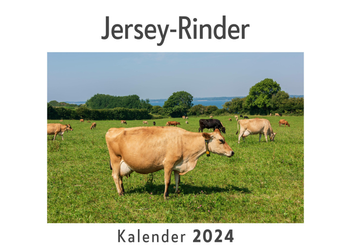 Kalendář/Diář Jersey-Rinder (Wandkalender 2024, Kalender DIN A4 quer, Monatskalender im Querformat mit Kalendarium, Das perfekte Geschenk) 