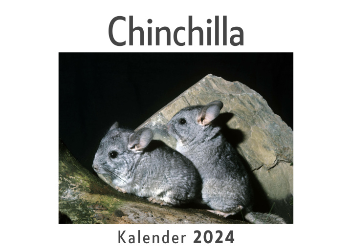 Kalendár/Diár Chinchilla (Wandkalender 2024, Kalender DIN A4 quer, Monatskalender im Querformat mit Kalendarium, Das perfekte Geschenk) 