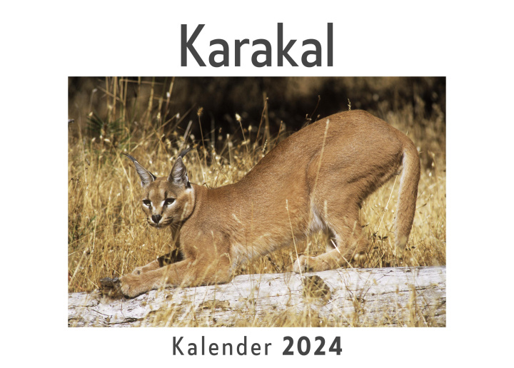 Calendar / Agendă Karakal (Wandkalender 2024, Kalender DIN A4 quer, Monatskalender im Querformat mit Kalendarium, Das perfekte Geschenk) 