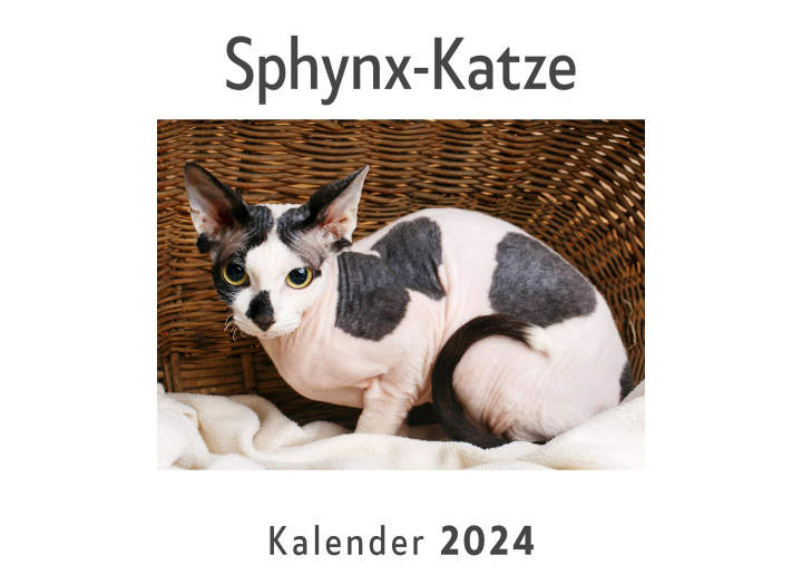 Calendar / Agendă Sphynx-Katze (Wandkalender 2024, Kalender DIN A4 quer, Monatskalender im Querformat mit Kalendarium, Das perfekte Geschenk) 
