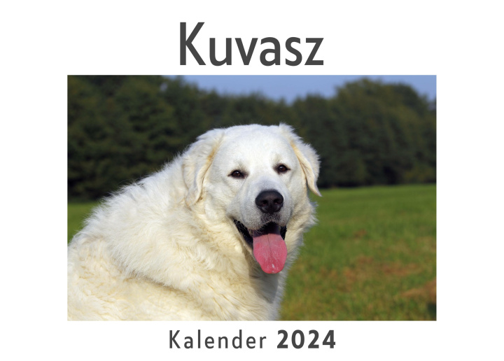 Calendar/Diary Kuvasz (Wandkalender 2024, Kalender DIN A4 quer, Monatskalender im Querformat mit Kalendarium, Das perfekte Geschenk) 