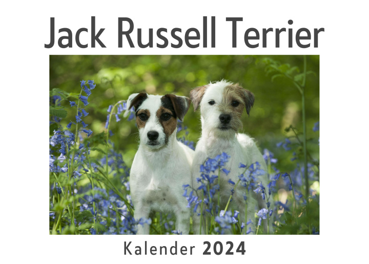 Naptár/Határidőnapló Jack Russell Terrier (Wandkalender 2024, Kalender DIN A4 quer, Monatskalender im Querformat mit Kalendarium, Das perfekte Geschenk) 