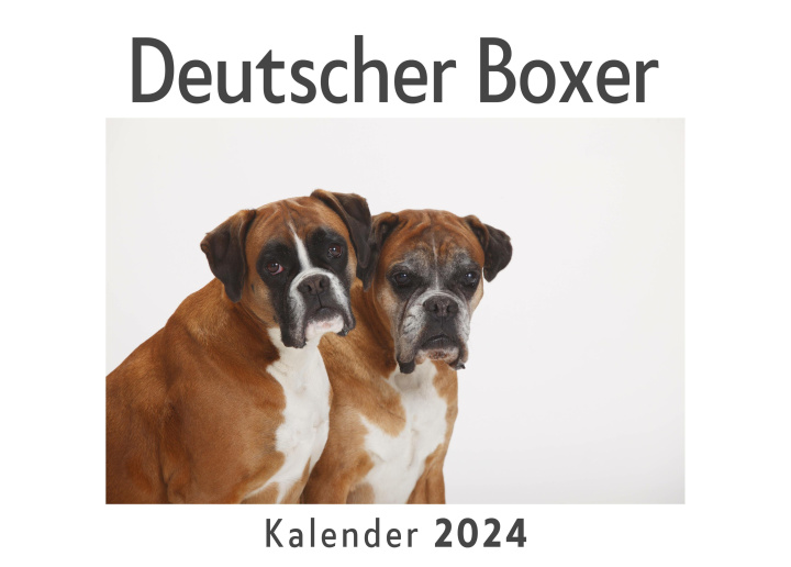 Календар/тефтер Deutscher Boxer (Wandkalender 2024, Kalender DIN A4 quer, Monatskalender im Querformat mit Kalendarium, Das perfekte Geschenk) 