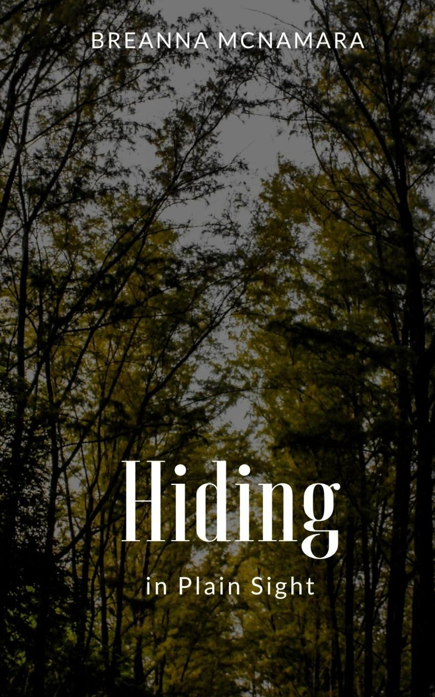 Buch Hiding in Plain Sight Breanna McNamara