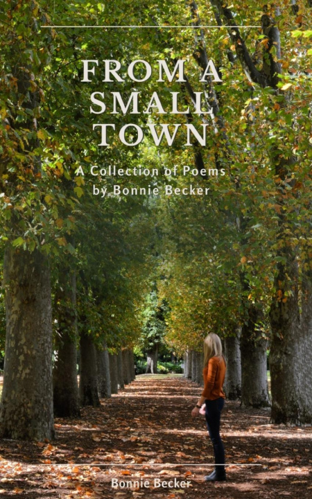 Knjiga From a Small Town Bonnie Becker