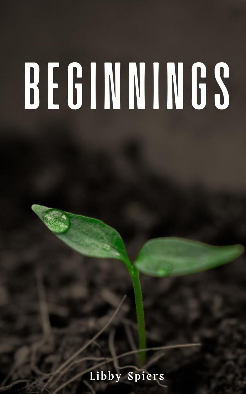 Knjiga Beginnings Libby Spiers