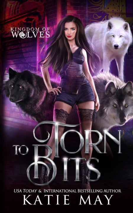 Book Torn to Bits Katie May