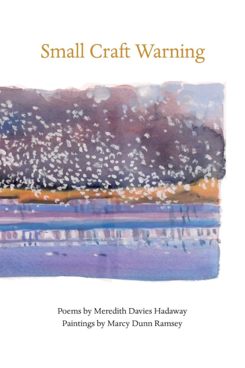 Książka Small Craft Warning Marcy Dunn Ramsey