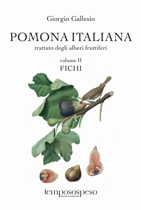 Kniha Pomona italiana ossia Trattato degli alberi fruttiferi Giorgio Gallesio
