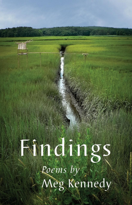 Book Findings Meg Kennedy