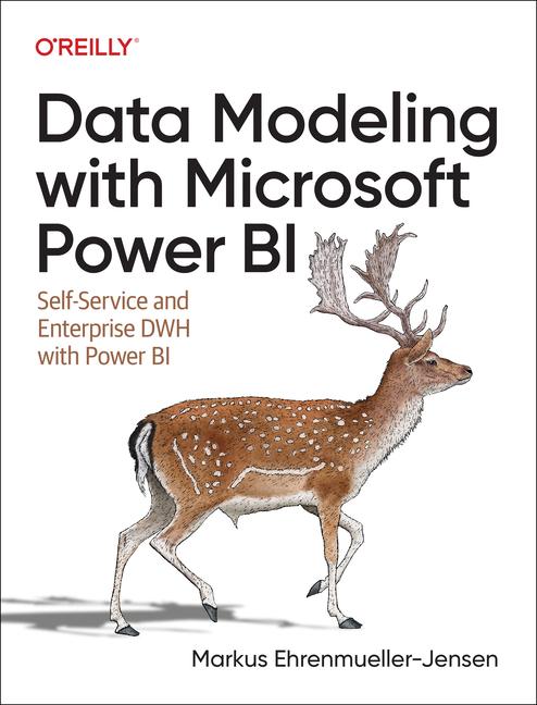 Kniha Data Modeling with Microsoft Power Bi 