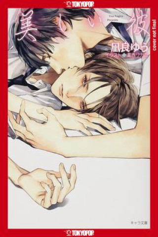 Kniha My Beautiful Man, Volume 1 (Light Novel) Rikako Kasai