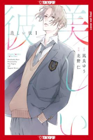Könyv My Beautiful Man, Volume 1 (Manga) Megumi Kitano