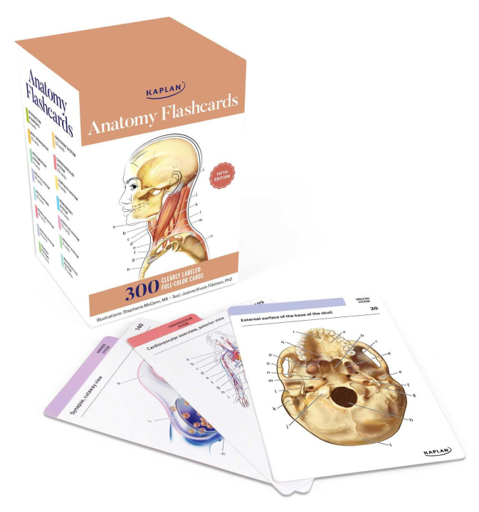 Hra/Hračka Anatomy Flashcards: 300 Flashcards with Anatomically Precise Drawings and Exhaustive Descriptions Stephanie McCann