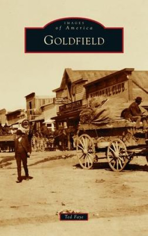 Knjiga Goldfield Ted Faye