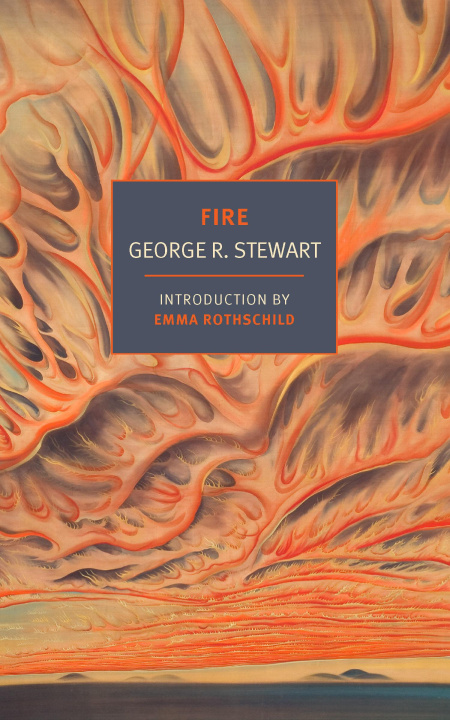 Knjiga Fire Stewart