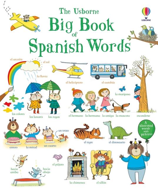 Kniha Big Book of Spanish Words Hannah Wood