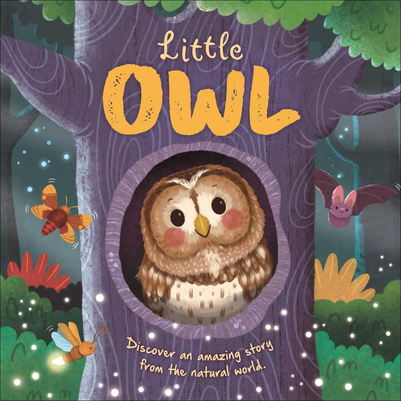 Knjiga Nature Stories: Little Owl-Discover an Amazing Story from the Natural World Rose Harkness