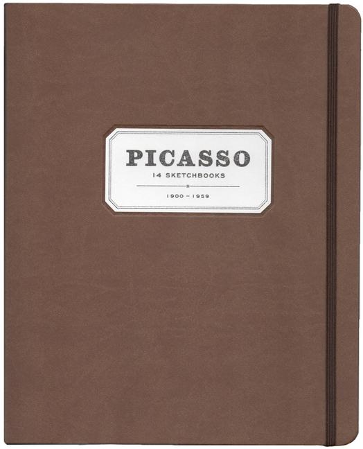 Kniha Picasso: 14 Sketchbooks 