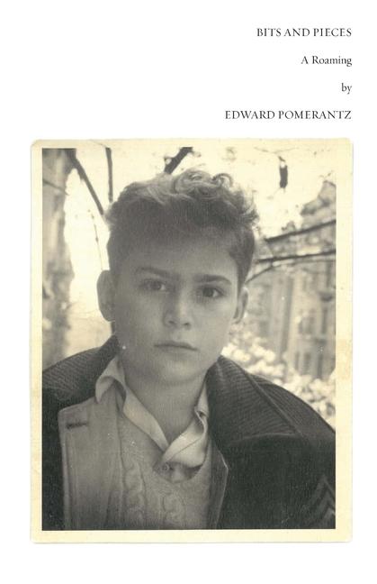 Buch Bits and Pieces Edward Pomerantz