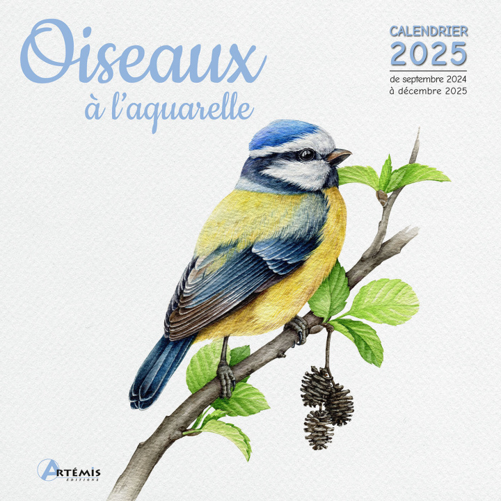 Calendar/Diary CALENDRIER OISEAUX A L'AQUARELLE 2025 